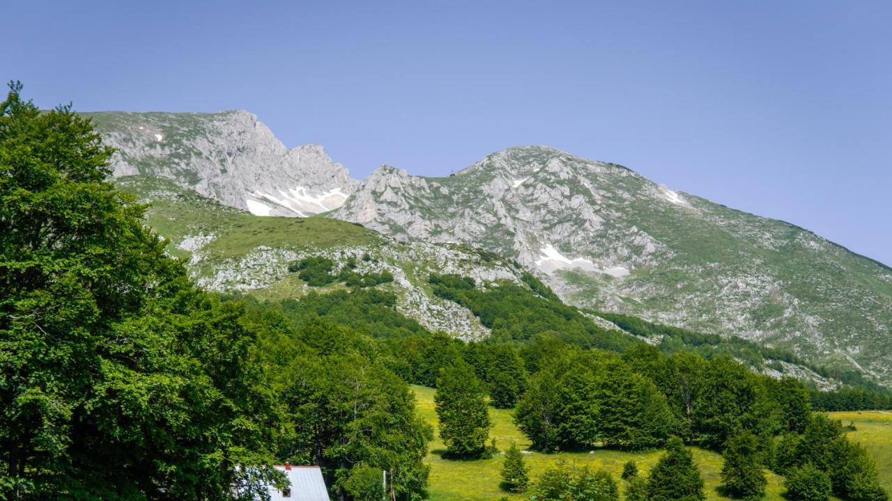 Vila Mountain House Drveni Raj Žabljak Exteriér fotografie